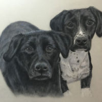 Luna&Doby_sml drawing of dogs