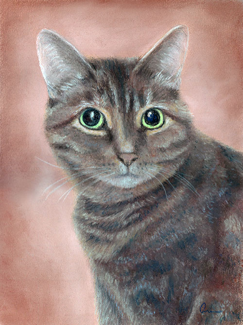 Snickers_sml cat drawing