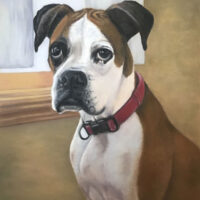 IMG_6246_sml pet memorial