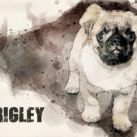 Wrigley with name_sml dog memorial