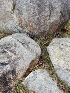 IMG_9134_sml art for chicago collectors