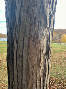 IMG_9135_sml art for private collections